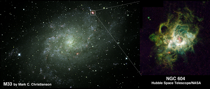 M 33 and NGC 604