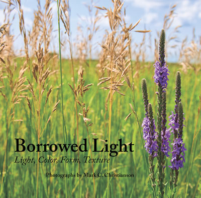 Borrowed Light compact edition cover